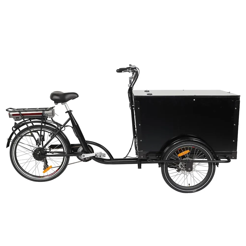 escape electric tricycle 3 wheeler