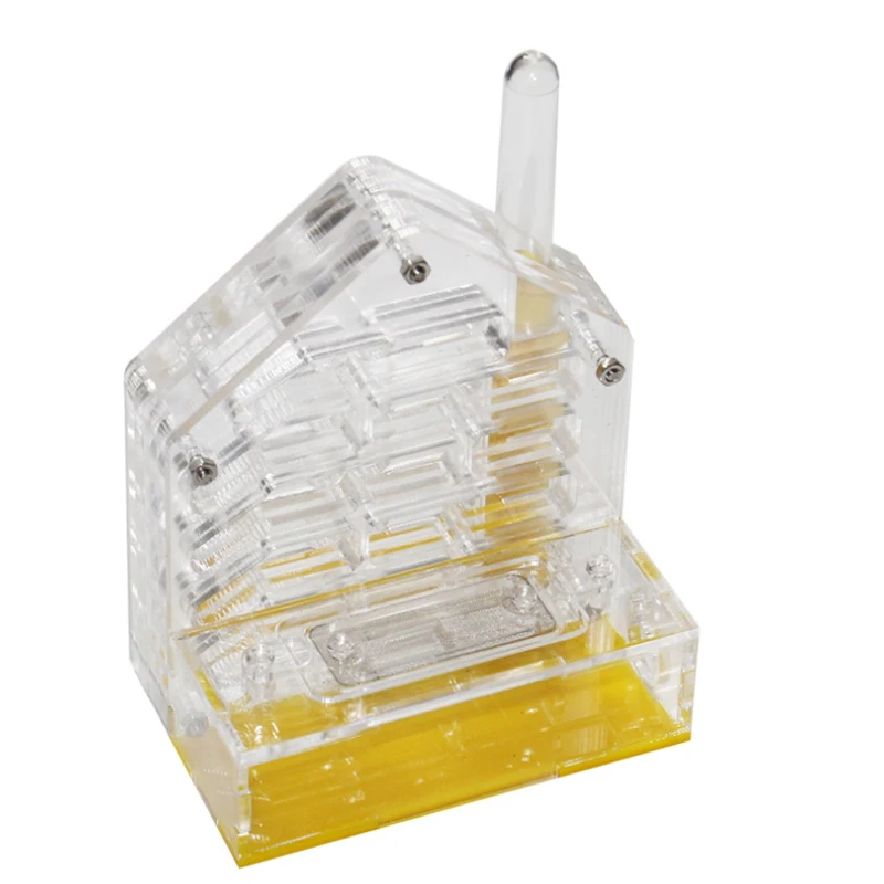Factory Custom Portable square Transparent Magnetic Acrylic Ant Terrarium for Expo