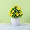 Five-leaf plum yellow