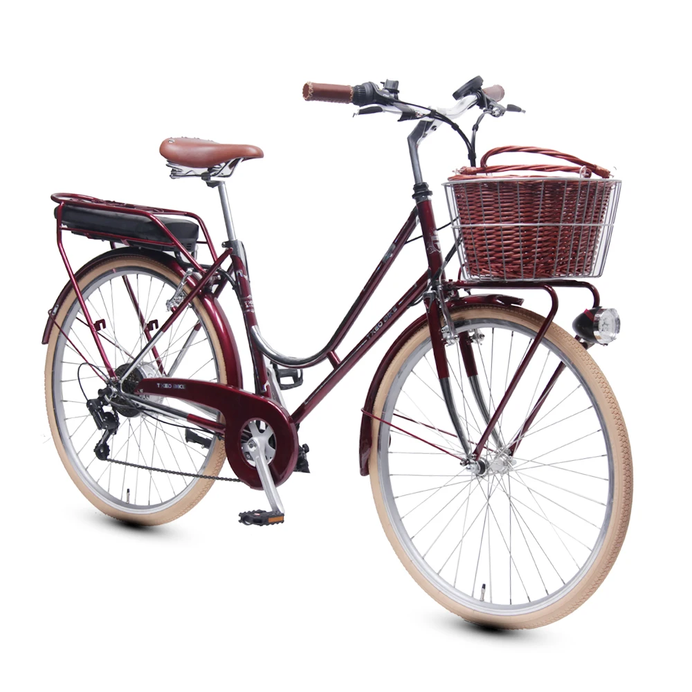 Cromoly Frame Electric Bike 250W Motor Battery