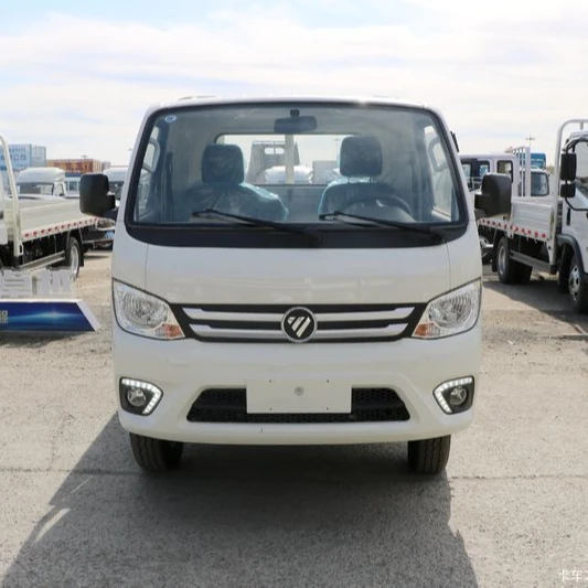 Foton 4x2 2 Tones Light Cargo Truck