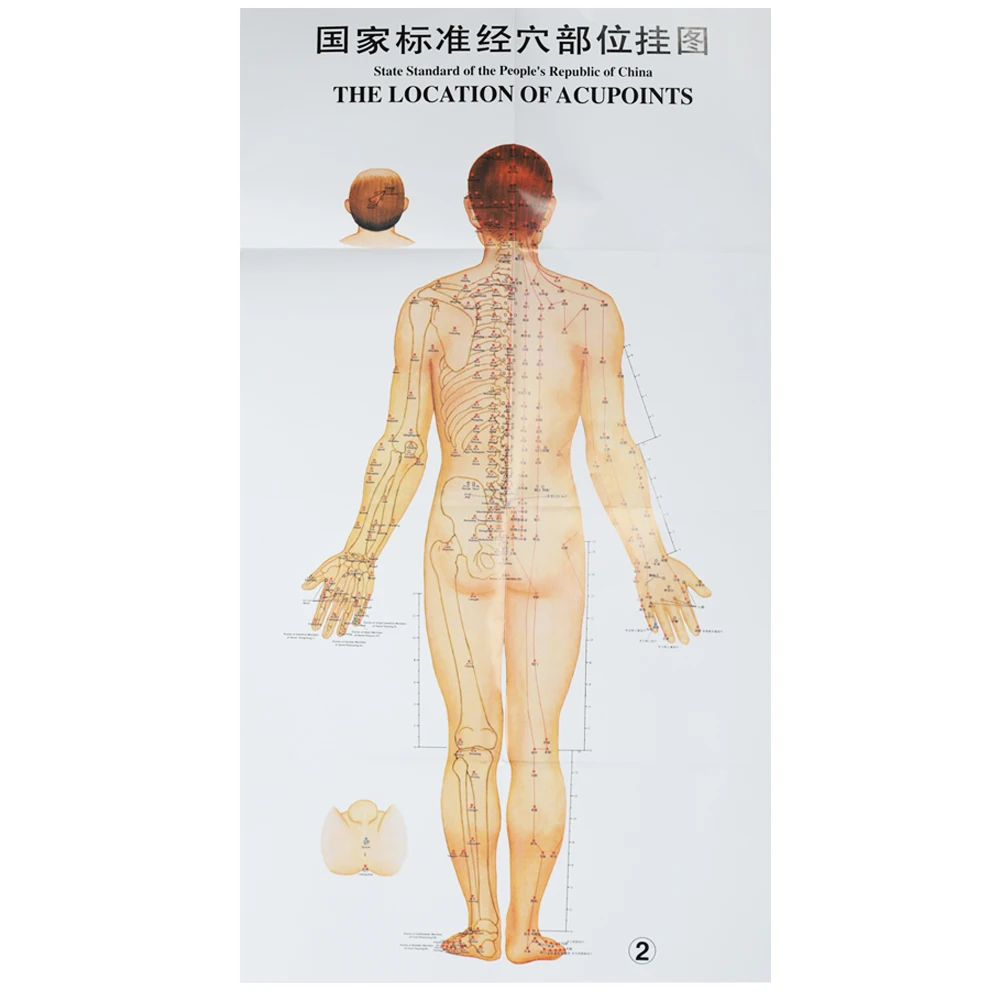 Standard Country Acupoint Wall Chart Human Body Acupuncture Points ...