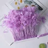 Lavanda