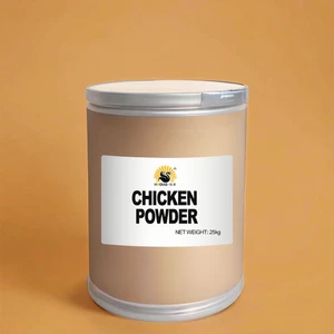 Halal Certified  Dried Chicken Stock Spices High Quality Chicken Seasoning Powder for Delicious Cooking Blended Processed