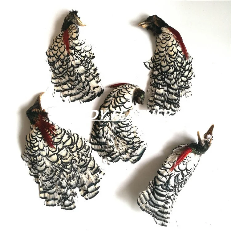 Natural Golden Cheap Pheasant Feather Heads Fishing Feather for Fishing Decor