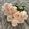 Champagne rosa
