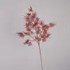 Small red branches