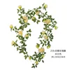 Off-white Anna rose, 1.8m long, 20 flowers