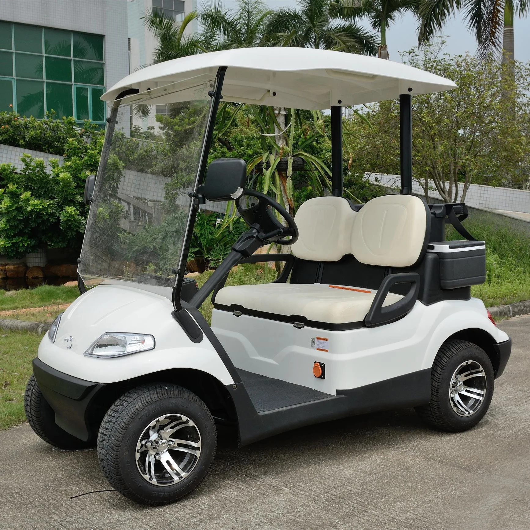 CE Approved Electric Golf Cart 2 Seater for Personal Use A627.2