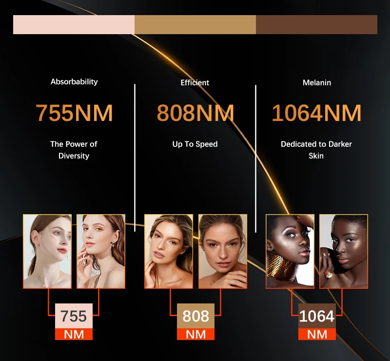 Professional Accessory Package