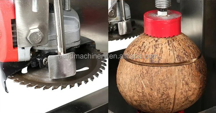 Factory Price Coconut Top Opener Cutter/ Coconut Head Opening Machine/Coconut Engraving Maker - Image 6