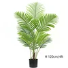 green Type D 120cm