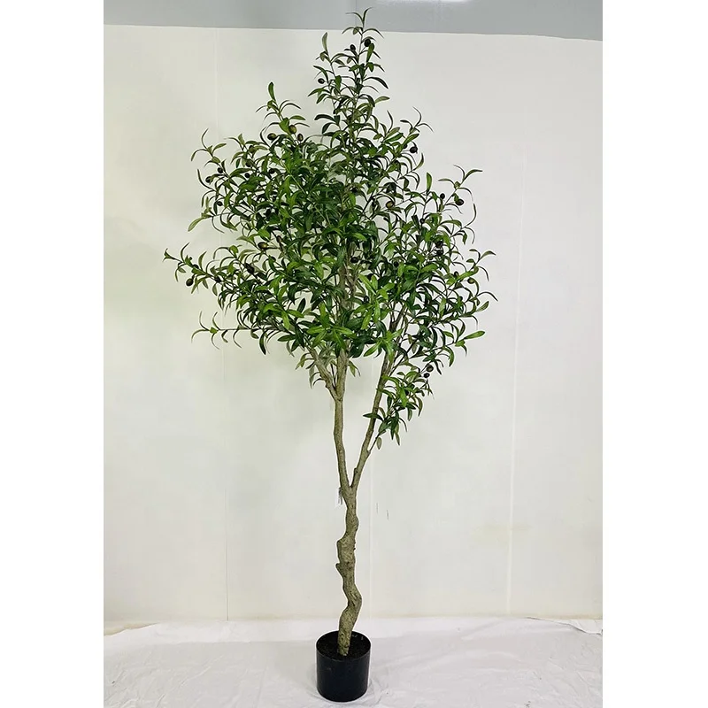 show original title Details about   Bonsai Olive Tree in White Square Vase 