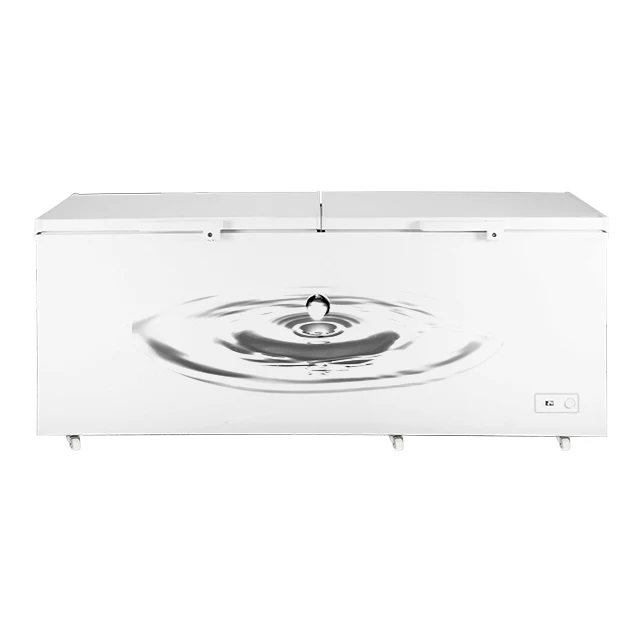 オレーク 電子コンプレッサー中国クーラー2ドアメーカーマリン製品吸収チェストフリーザー Buy Color Freezer,Chest