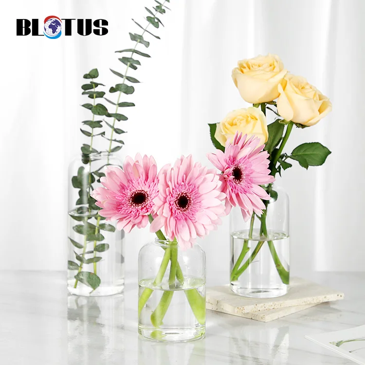 Vasi Vaso di vetro trasparente Vaso soggiorno domestico tavolino da letto camera da letto studio decorazione vaso vaso a mano vaso altezza 6.6 pollici / 11,2 pollici Vaso decorativo per soggiorno