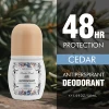 CEDAR
