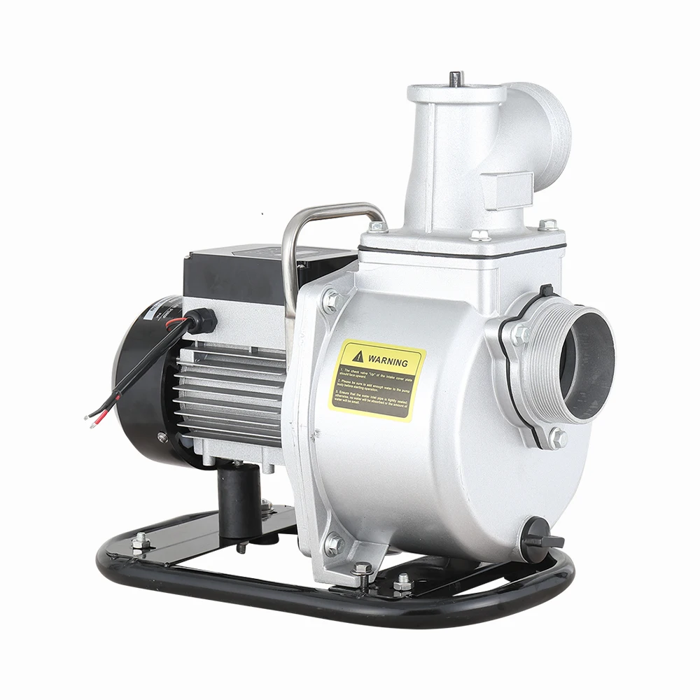 High Efficient PMSM Motor 1.2 HP Surface Solar Water Pump for Agriculture
