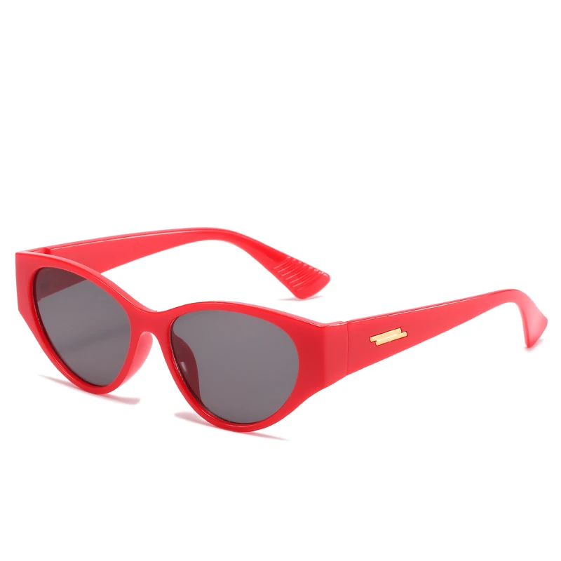 Cat Eye Tinted Lens Sunglasses Cat Eye Sunglasses Sun Glasses Brand Designer New Cat Eye Women Sunglasses
