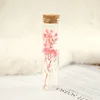 Souffle de bébé rose