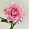 05-Rosa oscuro