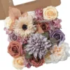 Purple champagne reddish-brown50