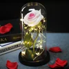 6-rosa