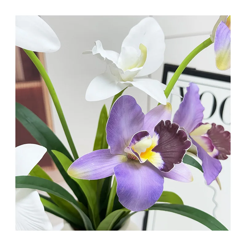 Временния чар на бялата шелкова хидранжа