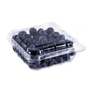 Plastic Storage Boxes with Lids Reusable Plastic Blueberry Fruit Vegetable containers for Fresh Keeping