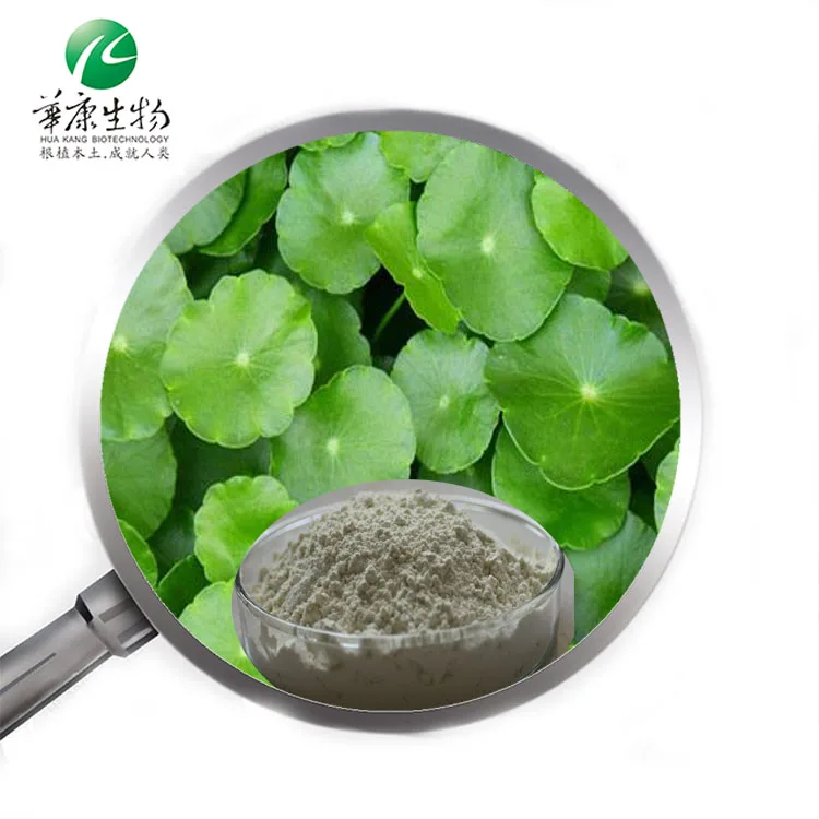 Centella asiatica extract. Экстракт центеллы азиатской. Азиатикозид.