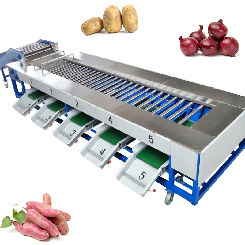 Carrot Onion Washing Peeling Sorting Machine