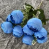 Blue 1