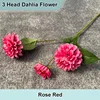 Rosa rossa