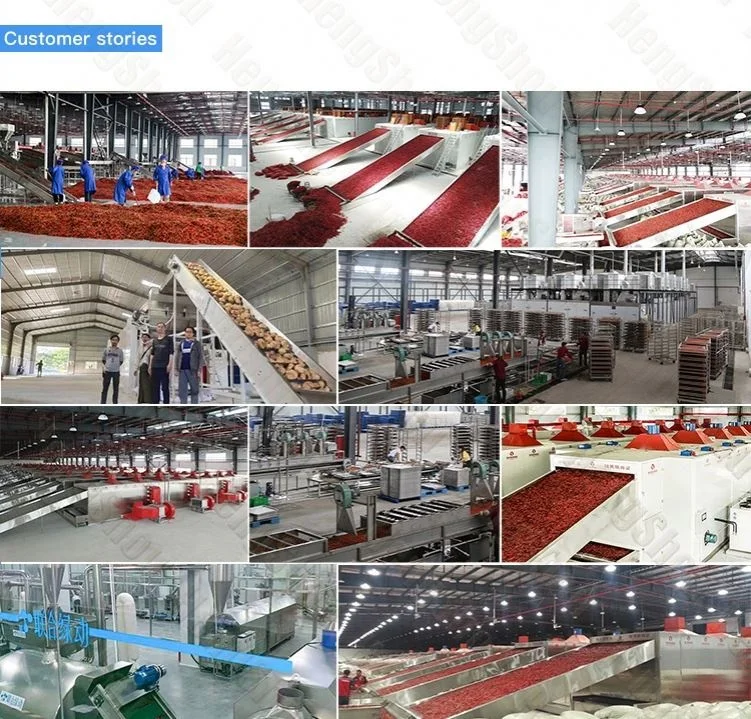 Small Scale Chili Pepper Powder Making Machines Spicy Dry Cleaning Color Sorting Machines