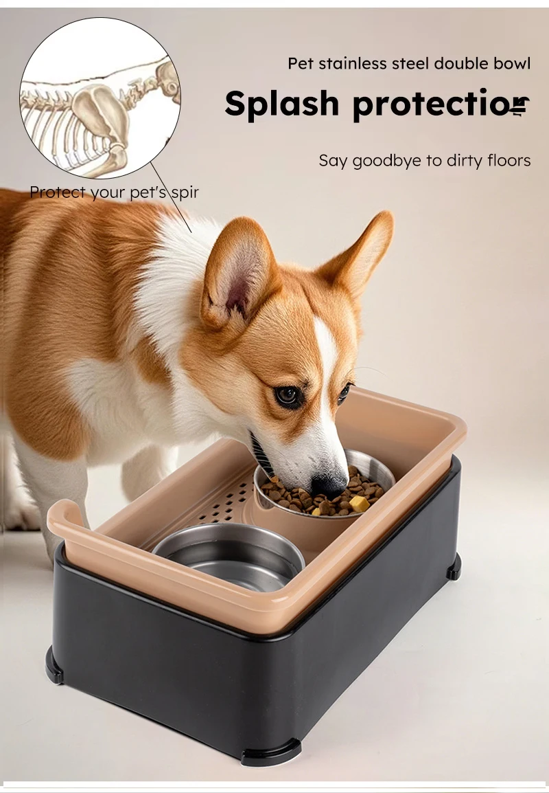 Pet Bowl Stainless Steel Dog Bowl Anti-upset Life  Pet Double Stainless Steel Cat Bowl Wholesale supplier