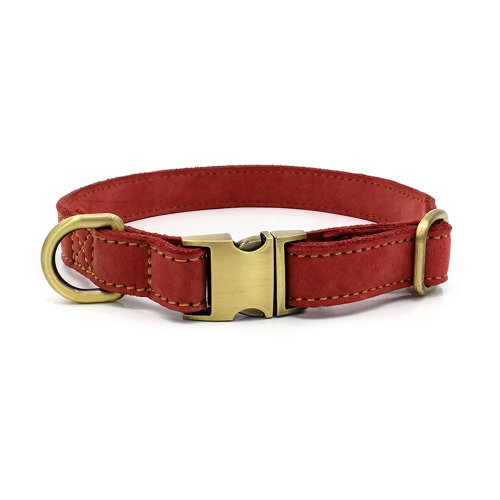 retro dog collars