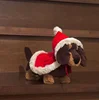 ChristmasCloakedDachshund