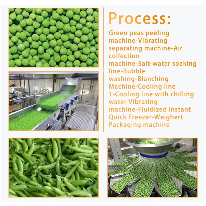 TCA Automatic Tomatoes Snow Peas Vegetable Fruit Cutting Washing Production Line Machine