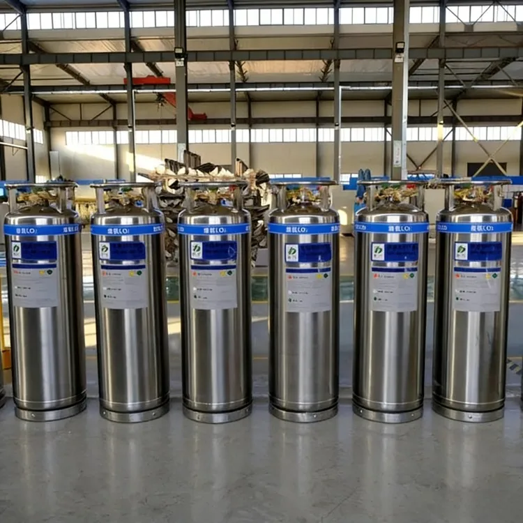 500L Vacuum Insulated Liquid Nitrogen Storage Tank LN2 Industrial Dewar Vessel