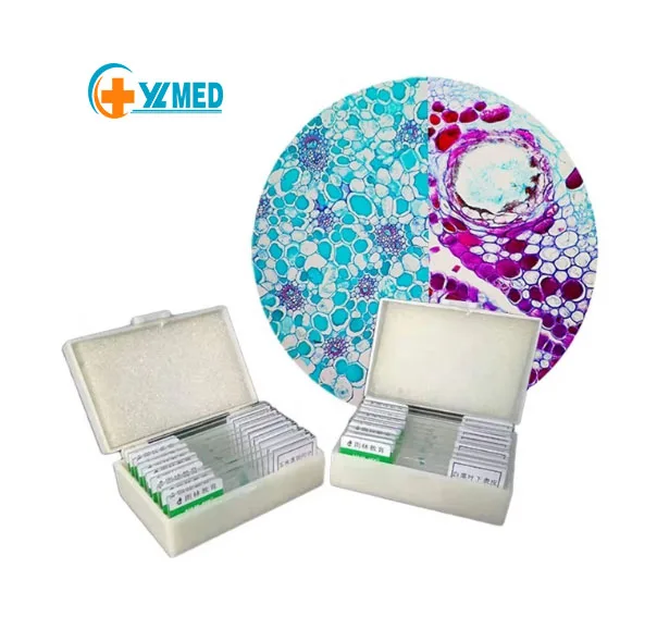 Медицинские науки 100 шт. ГИСТОЛОГИЧЕСКИЙ микроскоп подготовленные слайды 100/50/26/25/15/10 шт. деревянные или пластиковые слайды коробка CE ISO Yulin