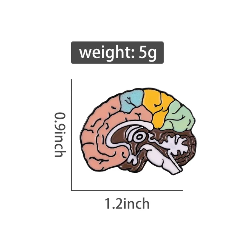 Custom Brain Structure Brooch Anatomy Enamel Pin Cartoon Lapel Badge ...