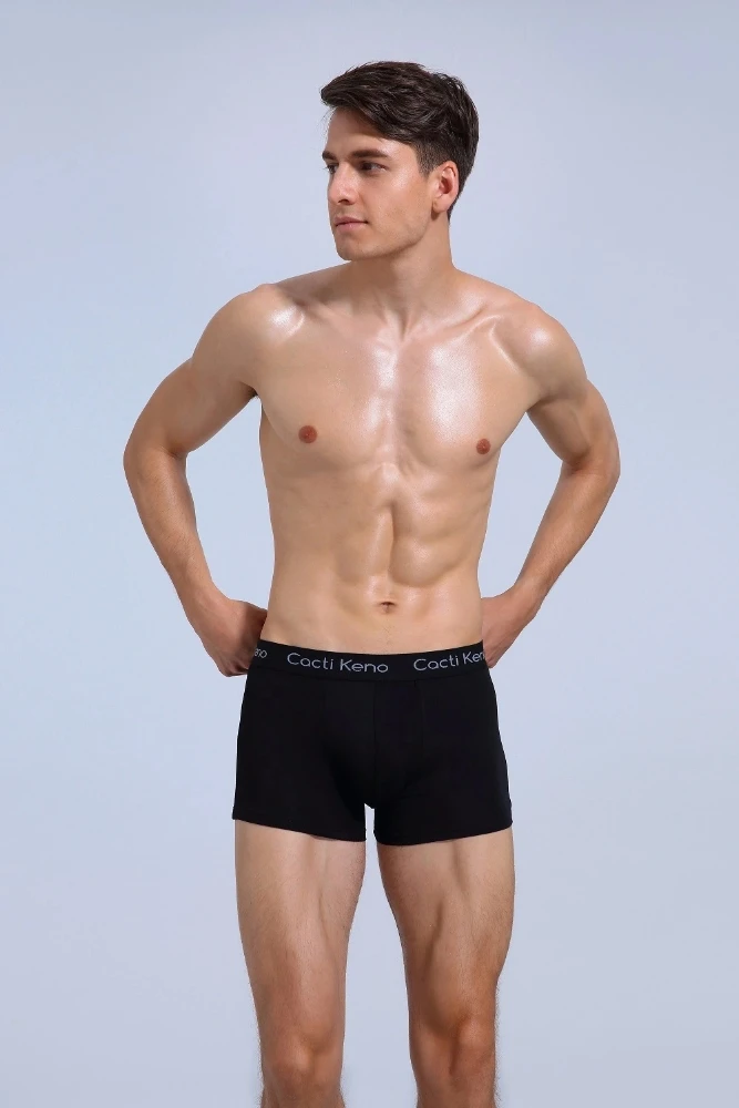 Wholesale Stock Lot Underwear For Man Classical Cotton Boxershorts Male Basics Boxer Briefs 1665