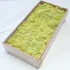 giallo-verde
