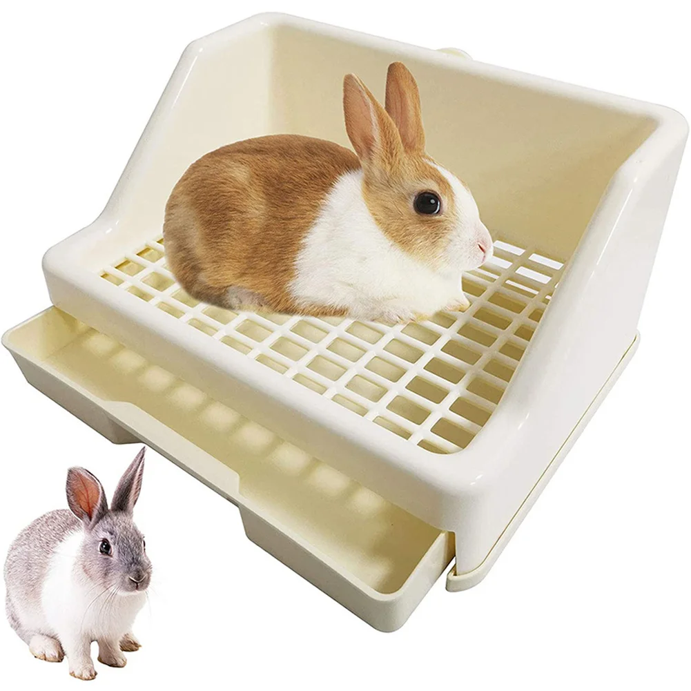 rabbit toilet