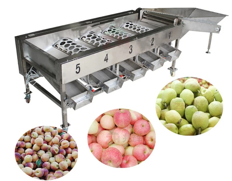 fruit grading machine | hawthorn sorting machine | onion size