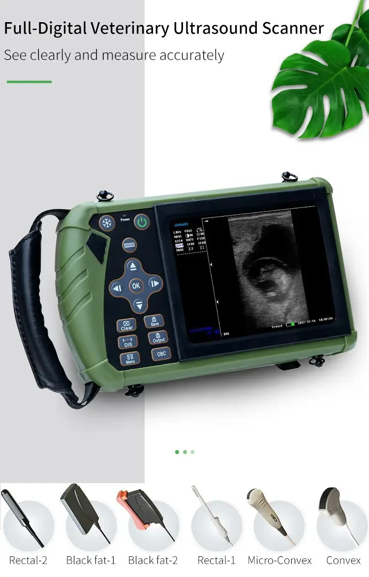 Laptop portable wireless ultrasound machine price convex/linear/micro-convex/rectal linear/backfat probe