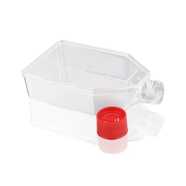 Disposable Sterile Laboratory Use Transparent T75 Cell Culture Bottle Plastic Cell Culture Flask