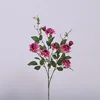 Rose pink