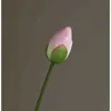 pink 11