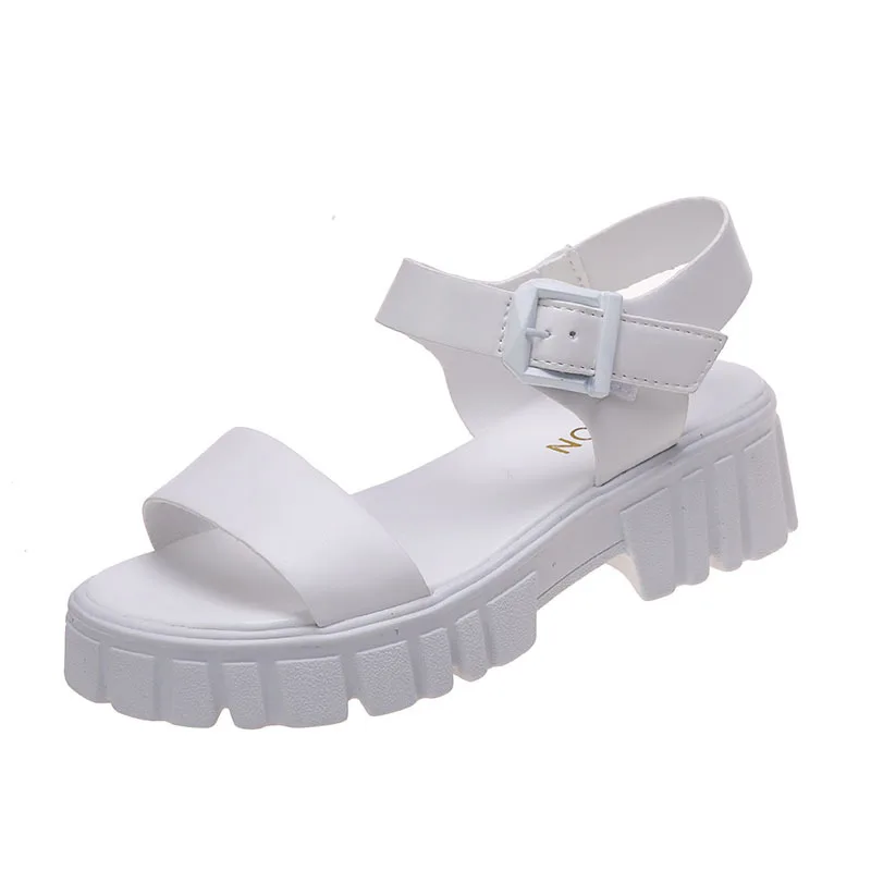 Replicas Lady Shoe Wholesale Famous Branded Shoes with L′ ′ V Logo Flat  Pool Pillow Comfort Women Designer Shoes Rubber Slippers - China Indoor  Slipper and Hotel Slipper price
