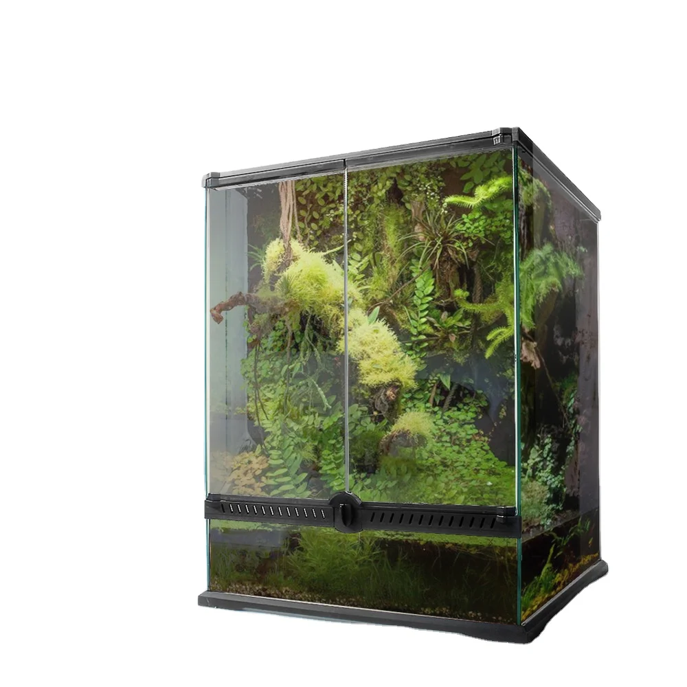 Small Naturalistic Terrarium Rainforest Habitat For Reptile Tortoise ...